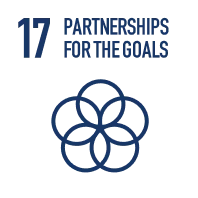 SDG 17